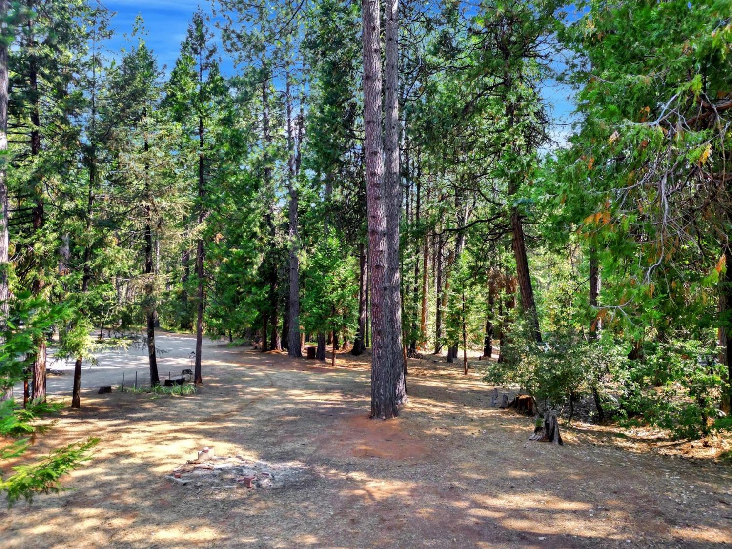 Wild Plum Lane, Nevada City, California image 48