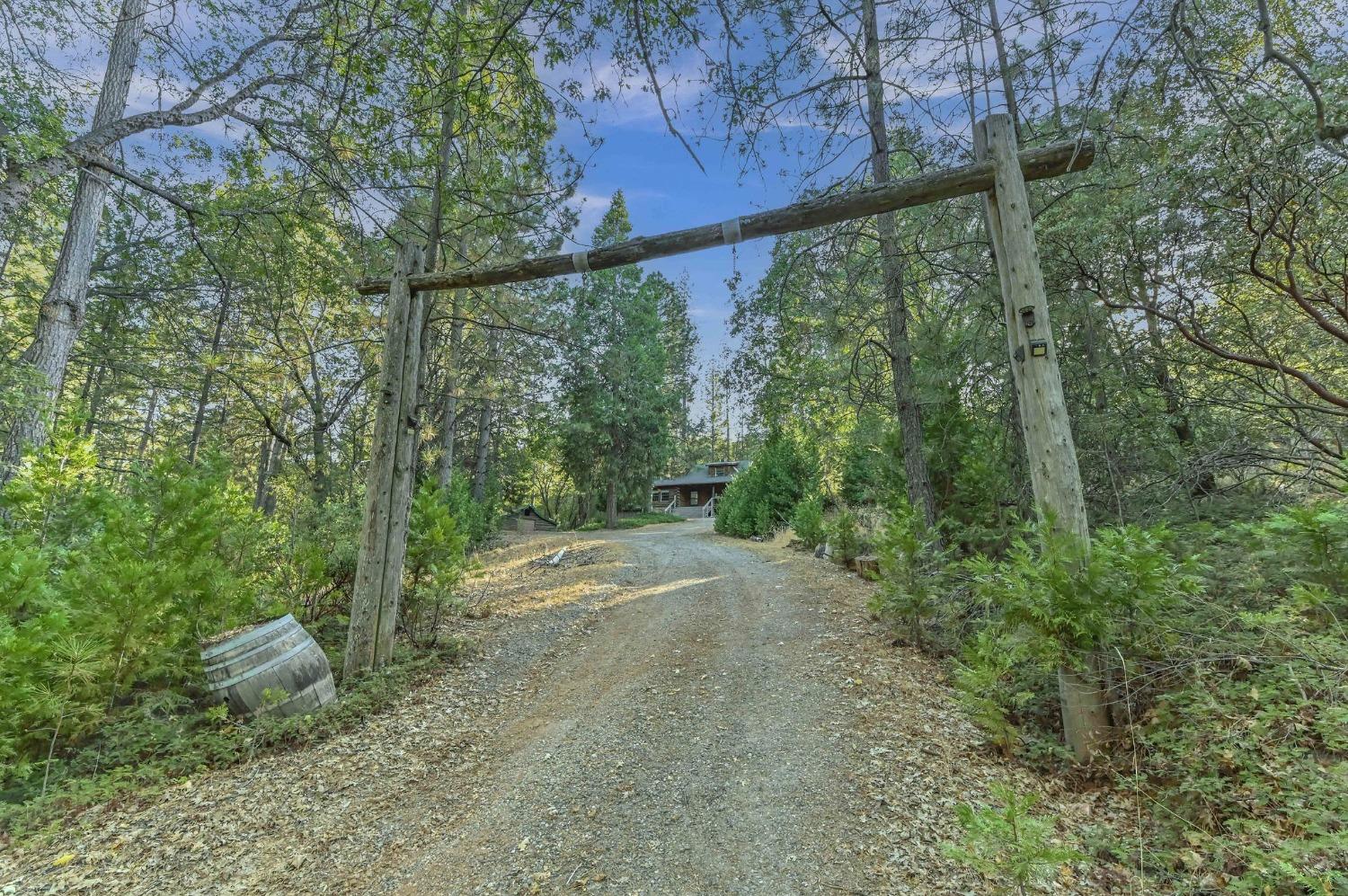 Loop Road, Glencoe, California image 9