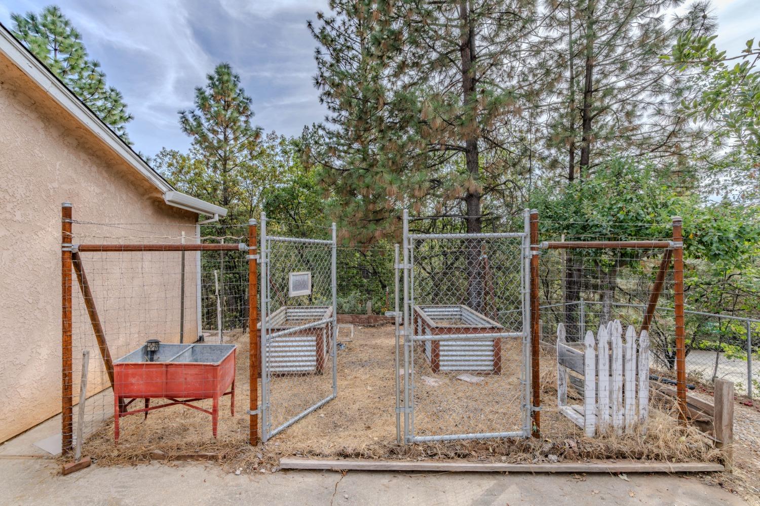 Marko Lane, Pine Grove, California image 40