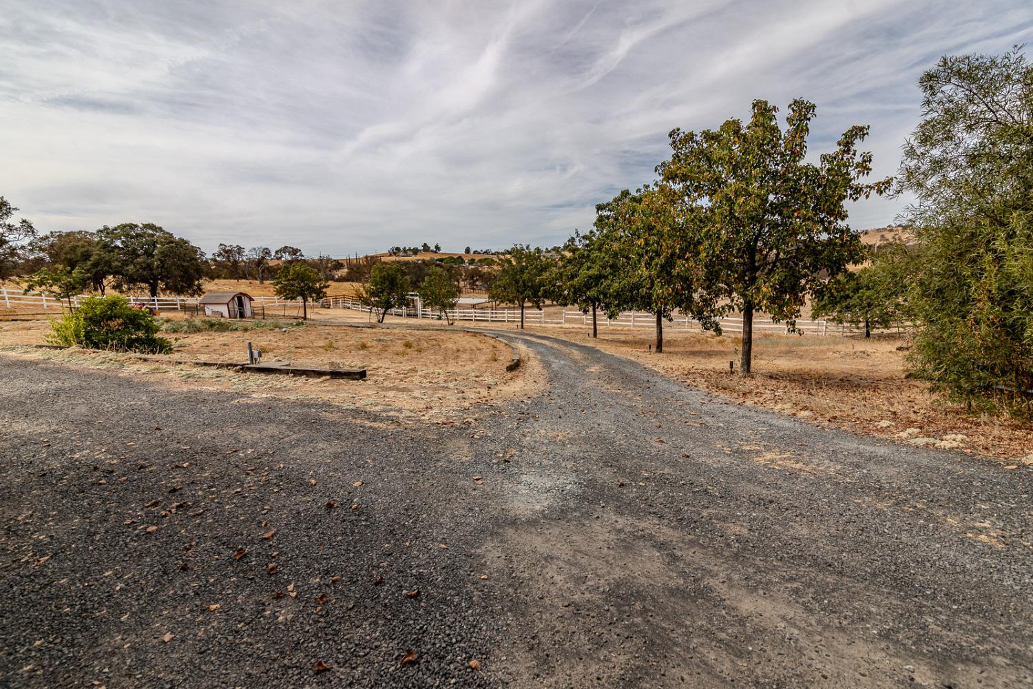 Buena Vista Drive, La Grange, California image 6