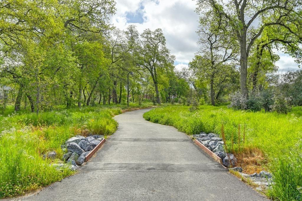 Betsy Alley, Citrus Heights, California image 8