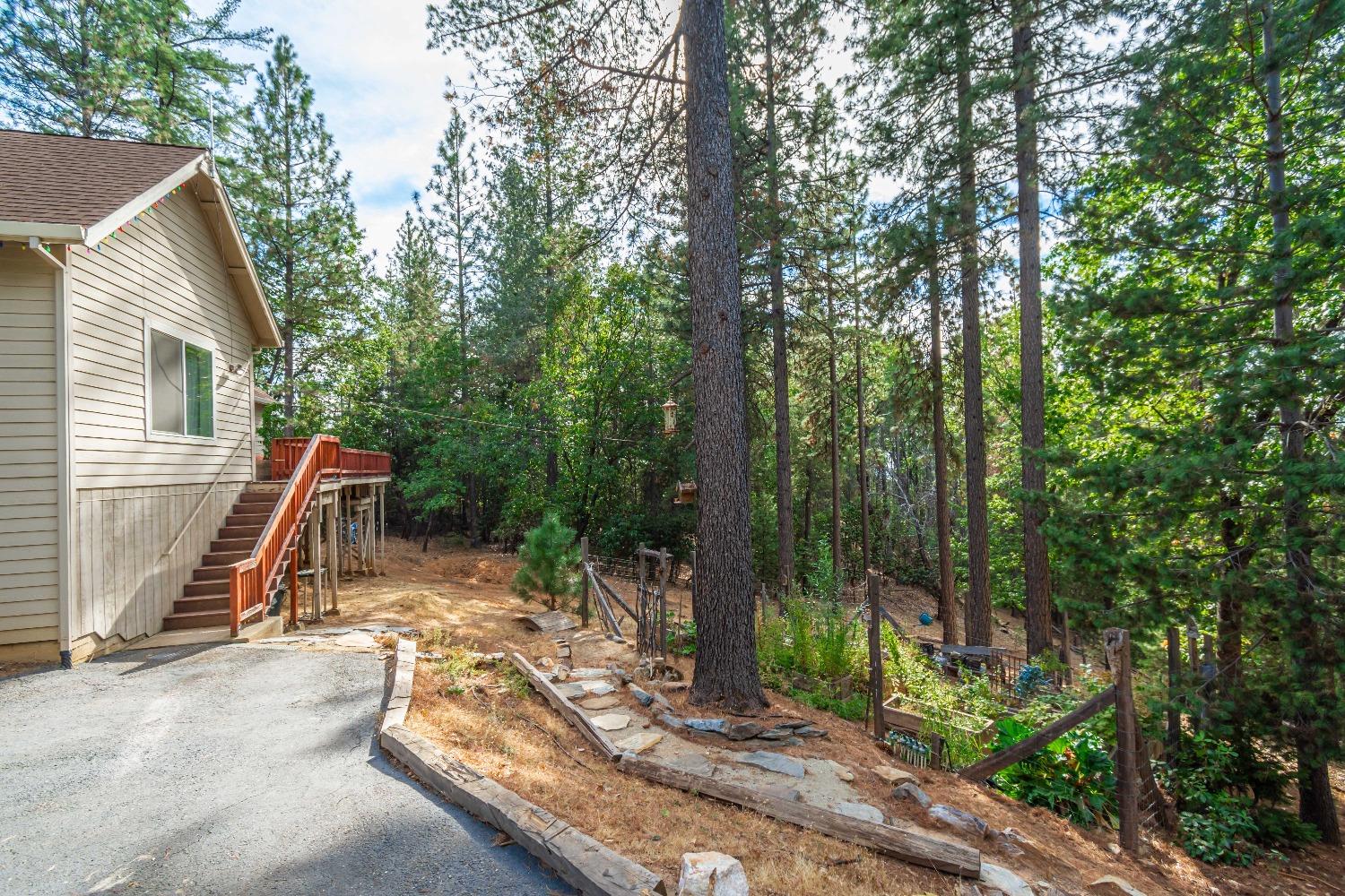 Detail Gallery Image 57 of 63 For 6298 Pine Needle Ln, Placerville,  CA 95667 - 3 Beds | 2 Baths