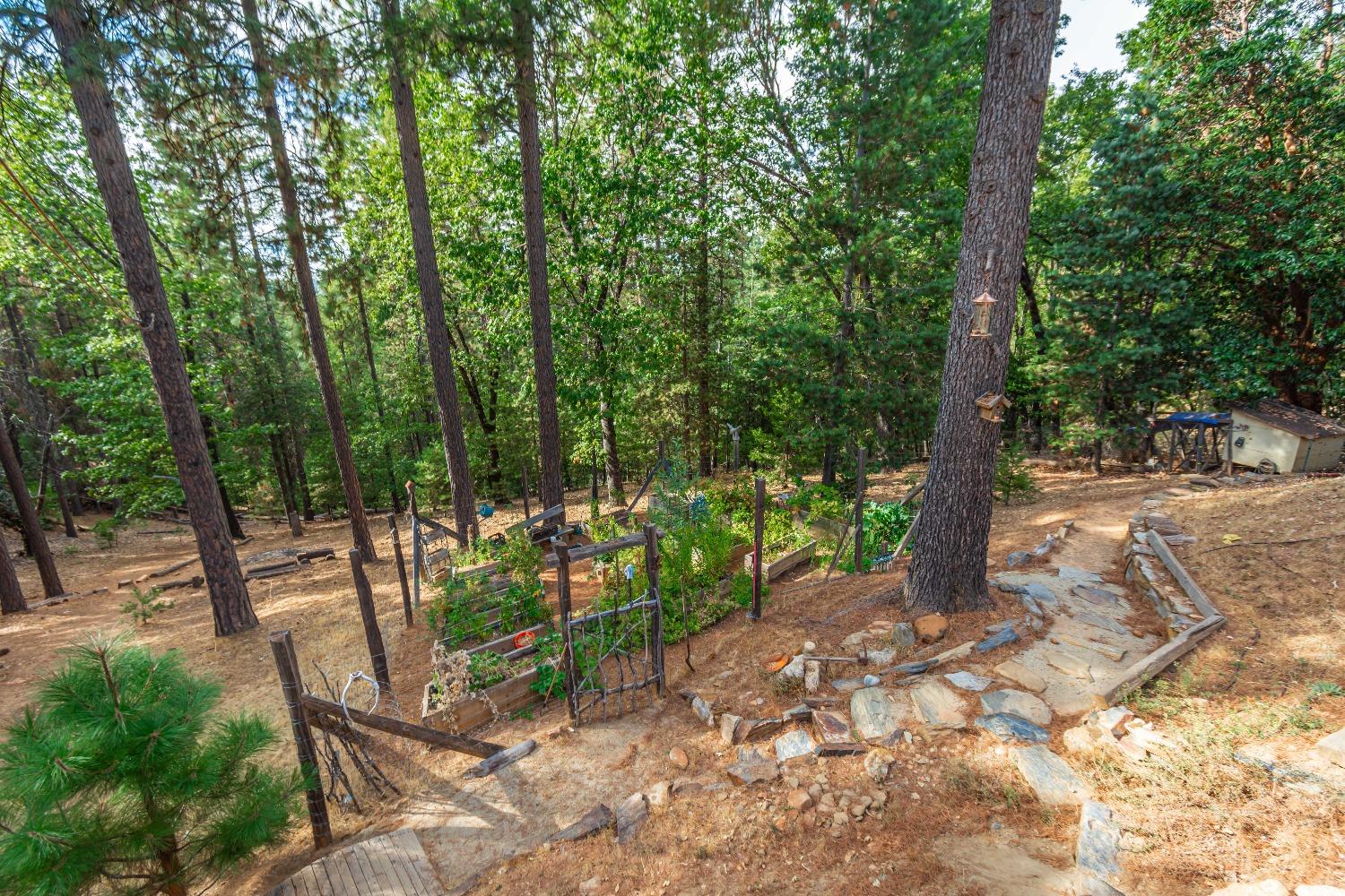 Detail Gallery Image 61 of 63 For 6298 Pine Needle Ln, Placerville,  CA 95667 - 3 Beds | 2 Baths