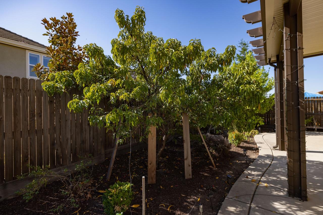 Detail Gallery Image 59 of 66 For 1606 Monroe Way, Rocklin,  CA 95765 - 4 Beds | 3/1 Baths