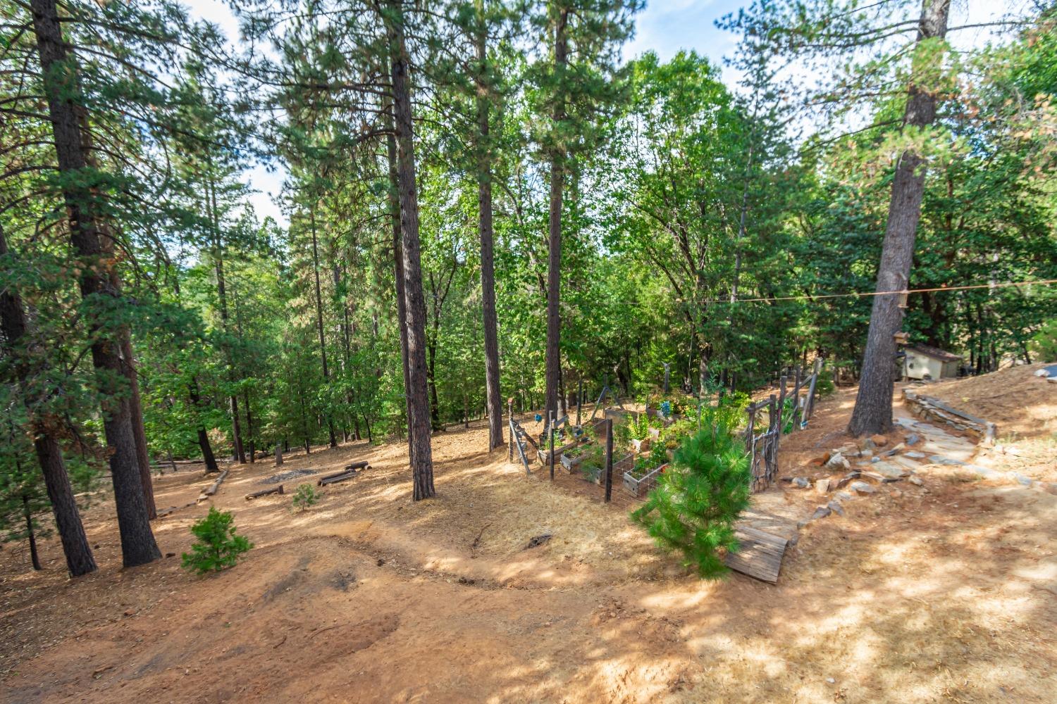 Detail Gallery Image 62 of 63 For 6298 Pine Needle Ln, Placerville,  CA 95667 - 3 Beds | 2 Baths