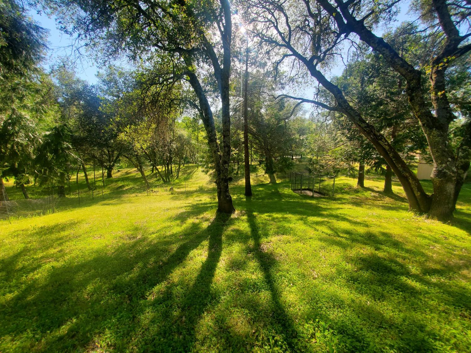 Detail Gallery Image 27 of 27 For 1040 Sand Ridge Rd, El Dorado,  CA 95623 - 3 Beds | 2 Baths