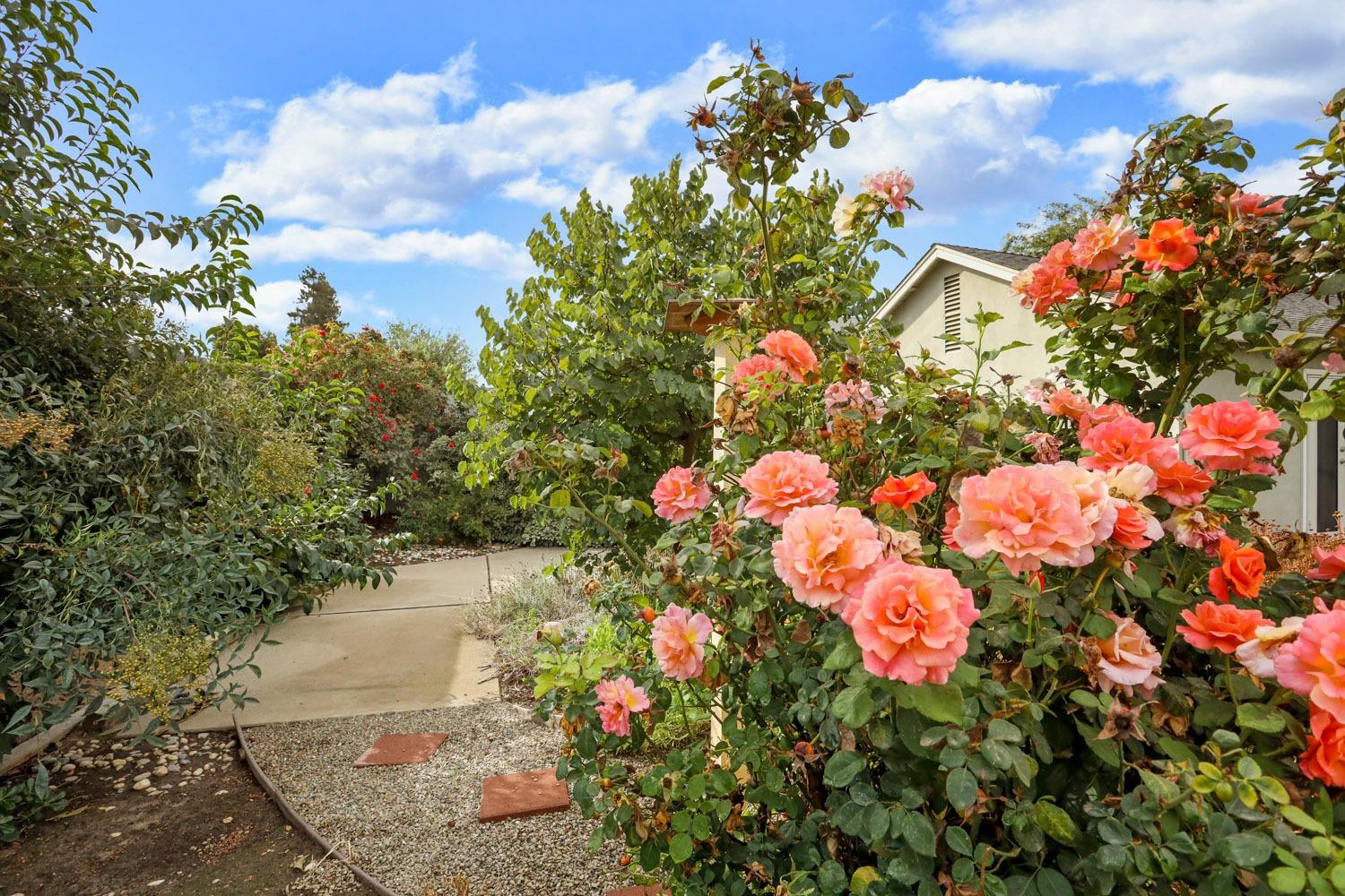 Detail Gallery Image 33 of 36 For 3828 Terneuzen Ave, Modesto,  CA 95356 - 2 Beds | 2 Baths