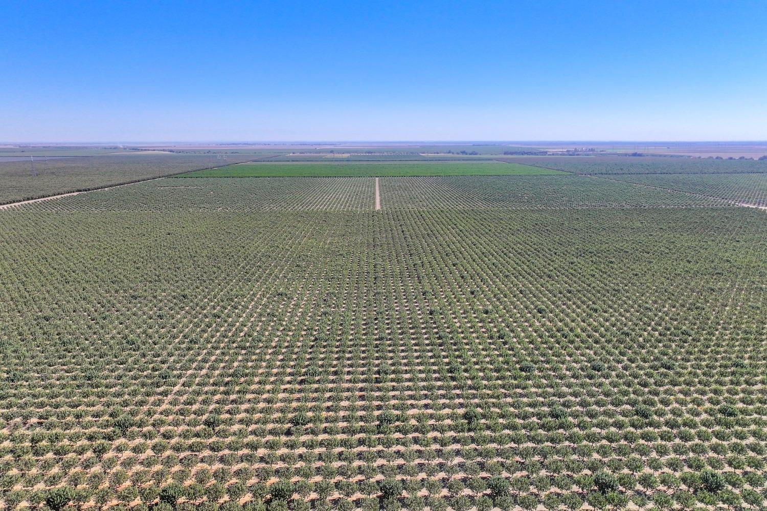 W Tornado Avenue, Huron, California image 9