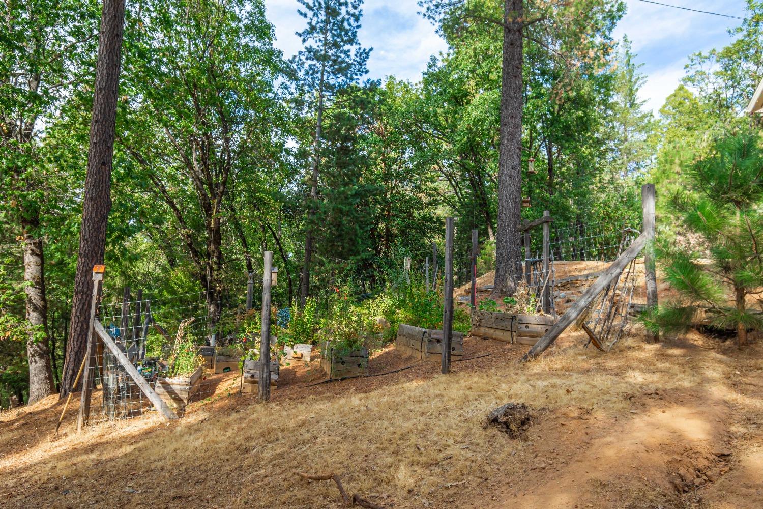 Detail Gallery Image 59 of 63 For 6298 Pine Needle Ln, Placerville,  CA 95667 - 3 Beds | 2 Baths