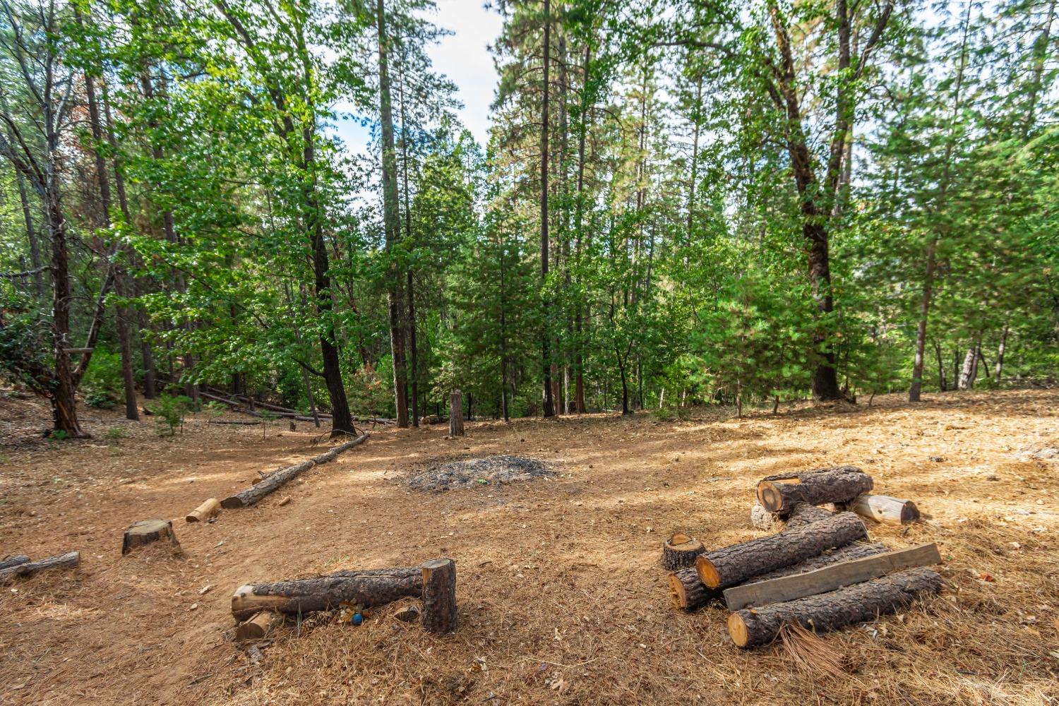 Detail Gallery Image 60 of 63 For 6298 Pine Needle Ln, Placerville,  CA 95667 - 3 Beds | 2 Baths