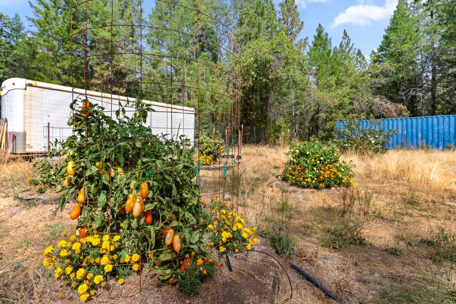 Detail Gallery Image 22 of 39 For 14715 Skeeter Hollow Rd, Nevada City,  CA 95959 - 2 Beds | 1 Baths