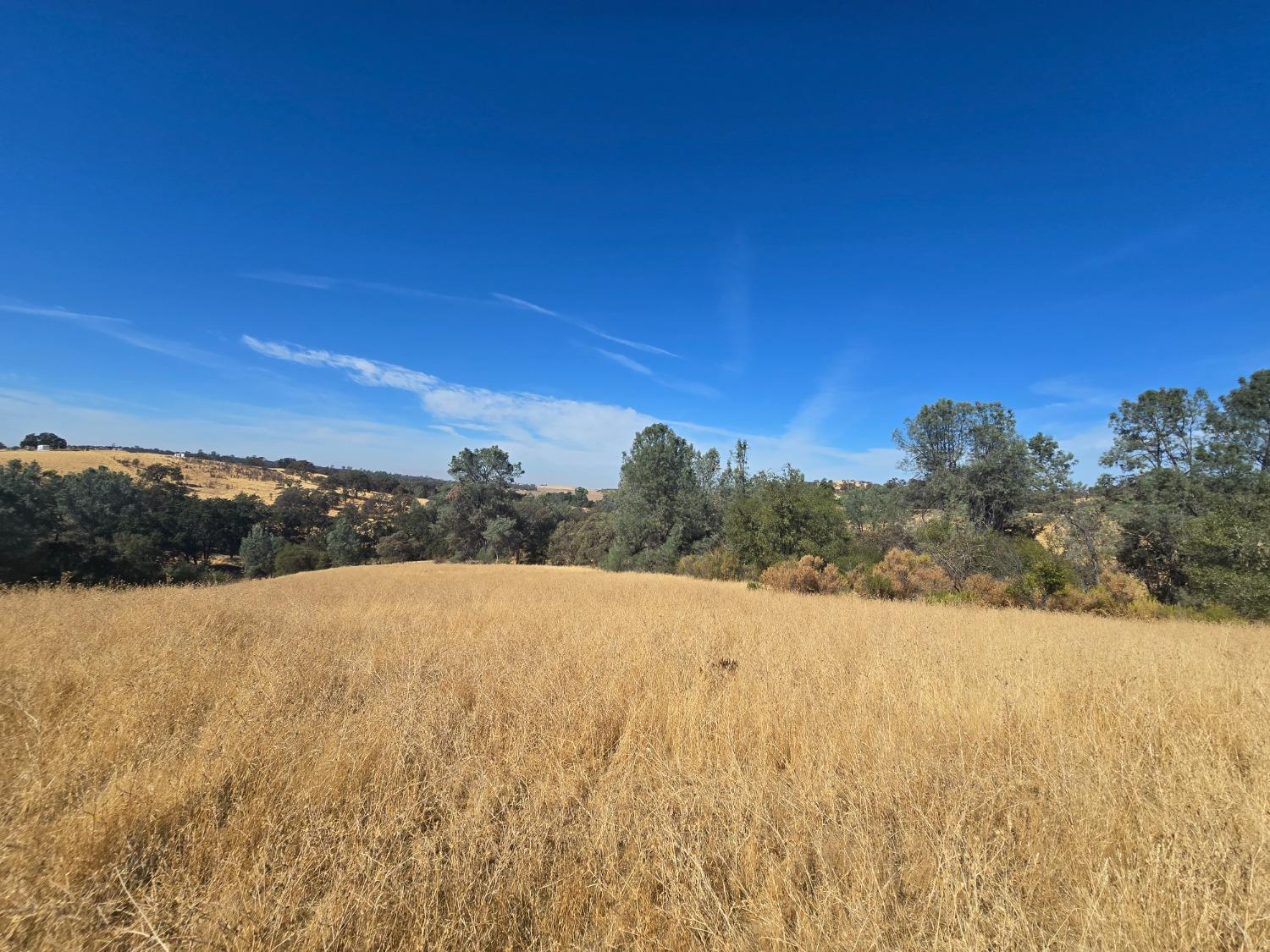 Detail Gallery Image 39 of 42 For 8675 Valley Rd, Lincoln,  CA 95648 - 3 Beds | 2 Baths