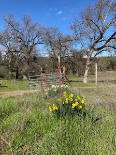 Detail Gallery Image 10 of 20 For 6420 Stewart Mine Rd, Placerville,  CA 95667 - – Beds | – Baths