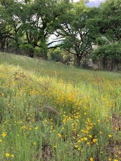 Detail Gallery Image 17 of 20 For 6420 Stewart Mine Rd, Placerville,  CA 95667 - – Beds | – Baths