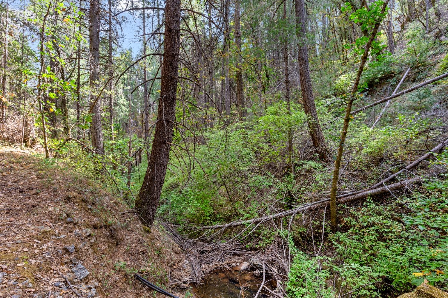 Detail Gallery Image 36 of 39 For 14715 Skeeter Hollow Rd, Nevada City,  CA 95959 - 2 Beds | 1 Baths