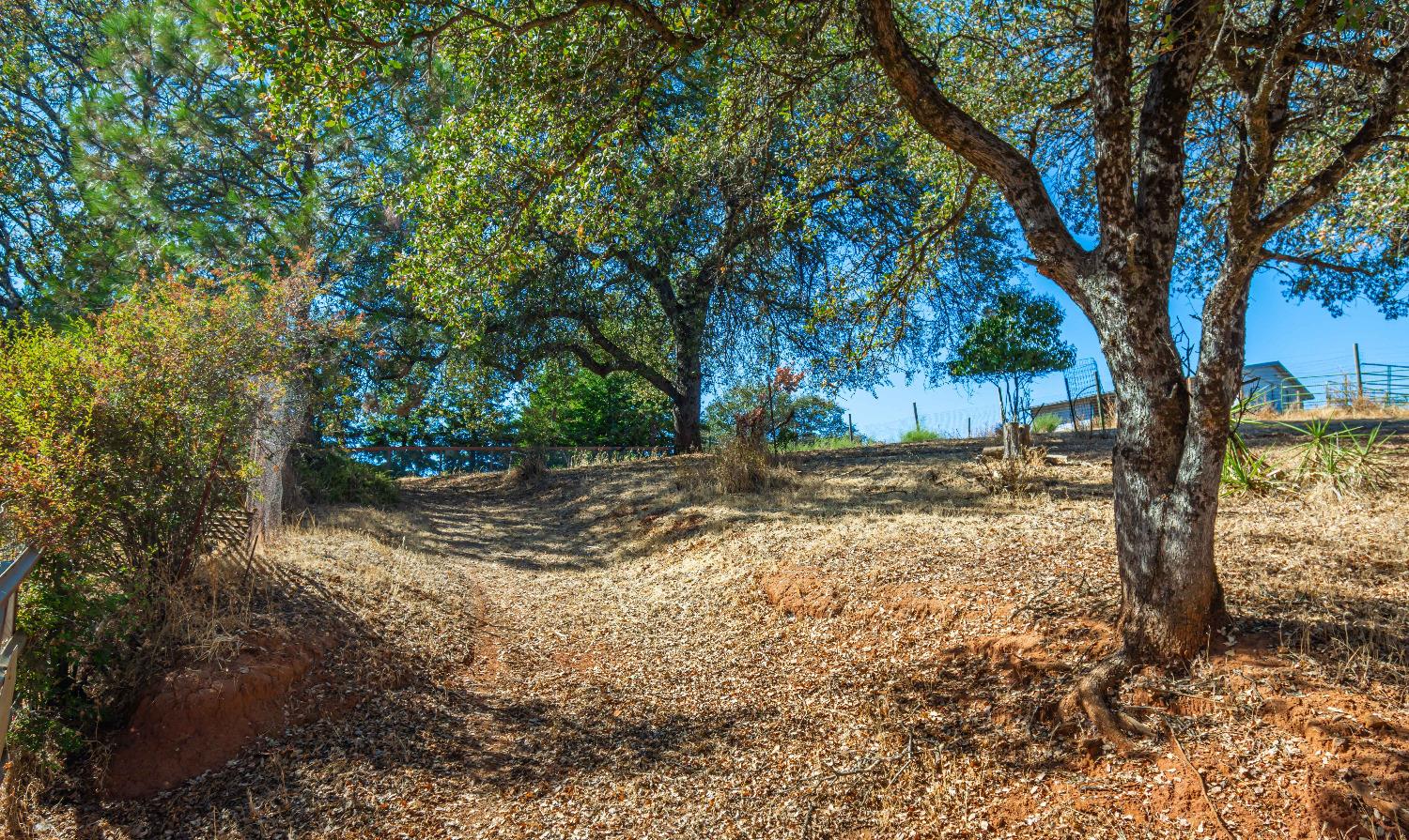 Cascade Trail, Cool, California image 32