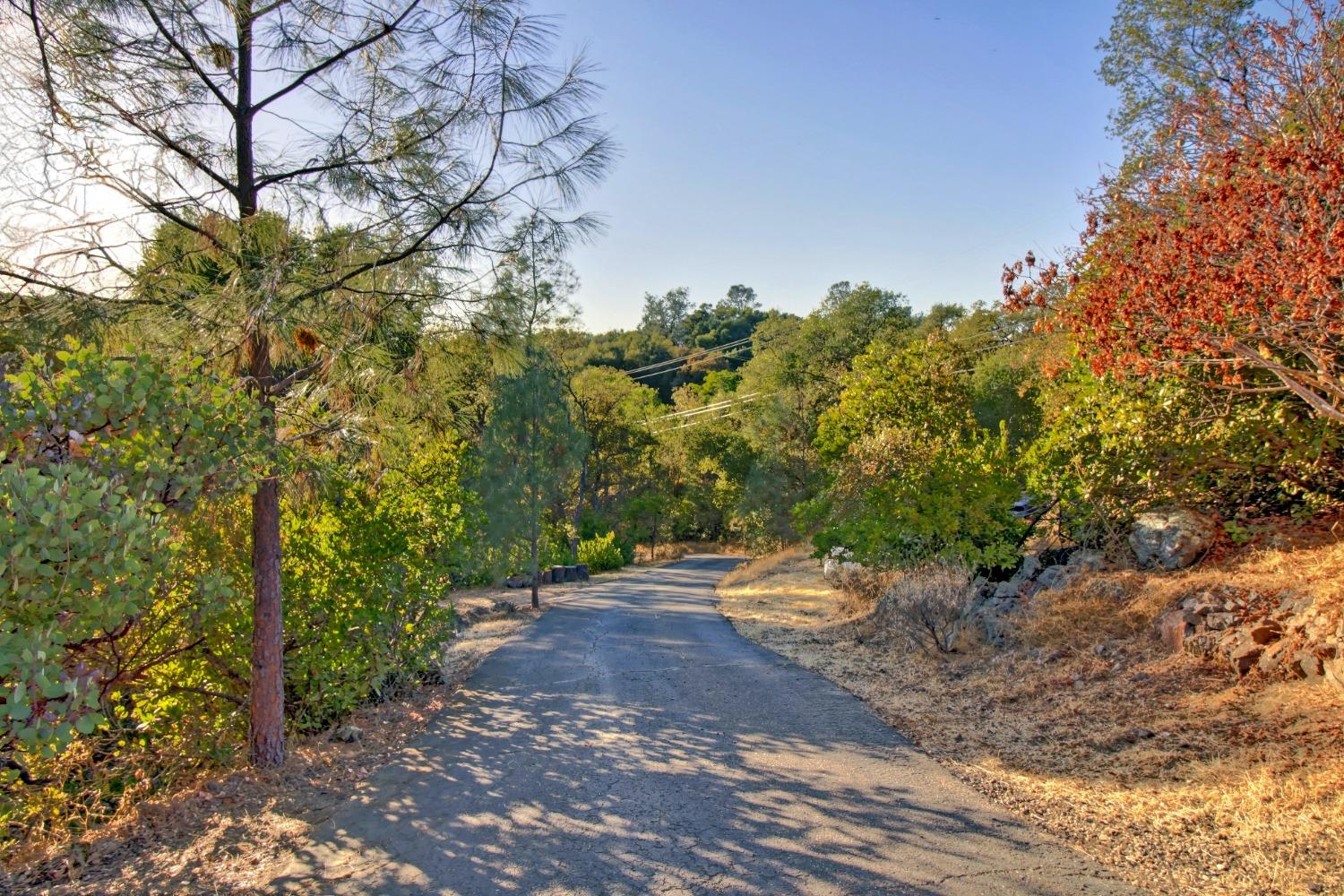 Detail Gallery Image 34 of 55 For 4333 Alazan Rd, Placerville,  CA 95667 - 4 Beds | 2 Baths