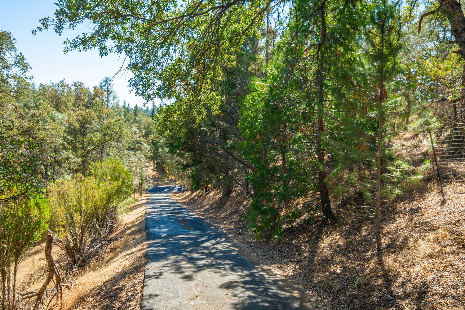 Cascade Trail, Cool, California image 4