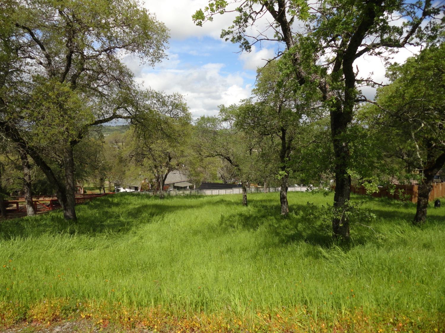 Partridge Drive, Valley Springs, California image 4