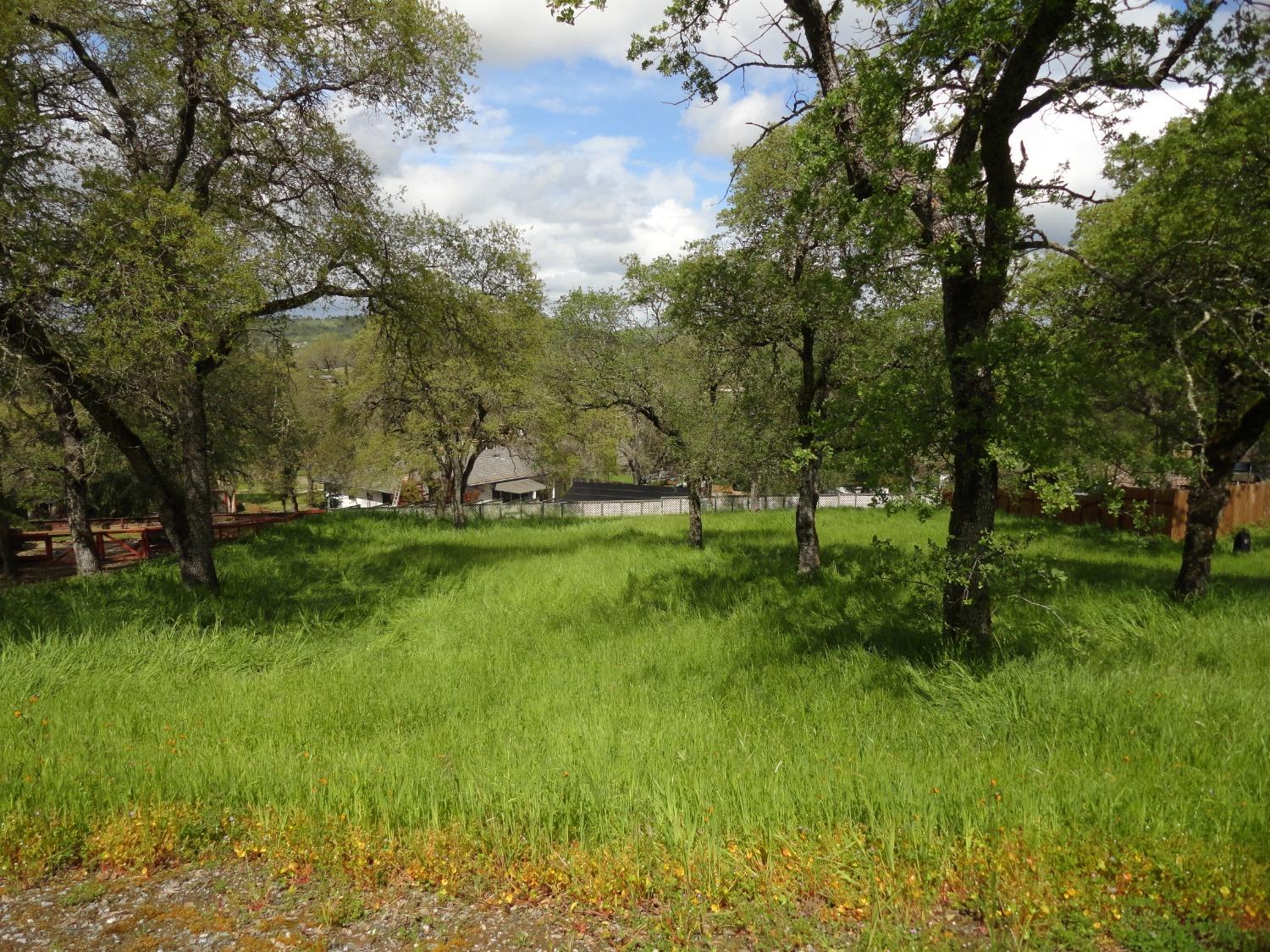 Partridge Drive, Valley Springs, California image 1