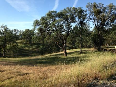 Gusanillo Way, Coulterville, California image 1