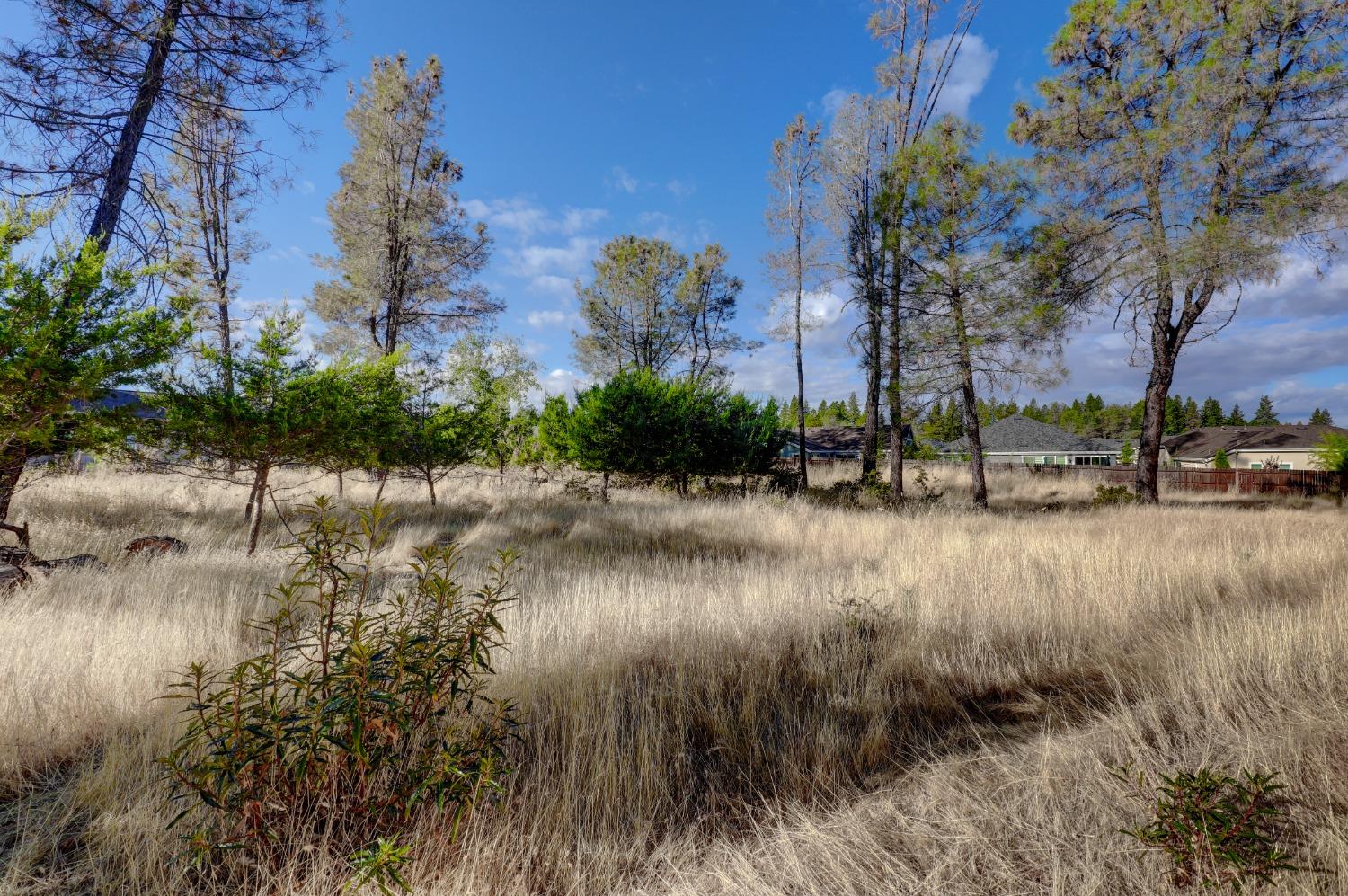 Detail Gallery Image 1 of 33 For 254 Bresee Pl, Grass Valley,  CA 95945 - – Beds | – Baths