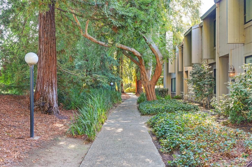 Colby Court, Sacramento, California image 1