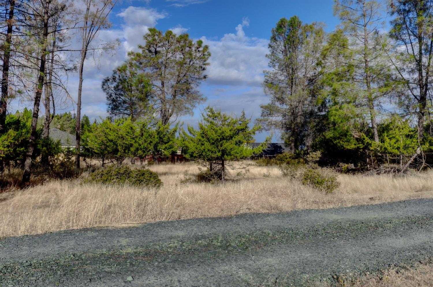 Detail Gallery Image 11 of 33 For 254 Bresee Pl, Grass Valley,  CA 95945 - – Beds | – Baths