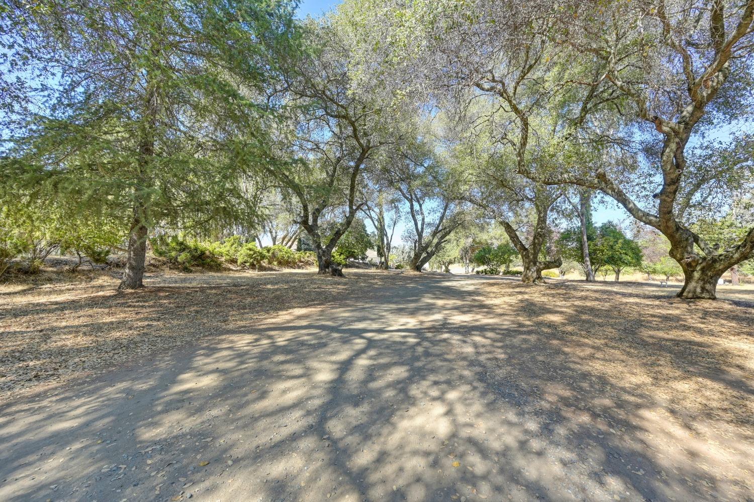 Detail Gallery Image 10 of 77 For 4560 Shingle Lime Mine Rd, Shingle Springs,  CA 95682 - 2 Beds | 4 Baths