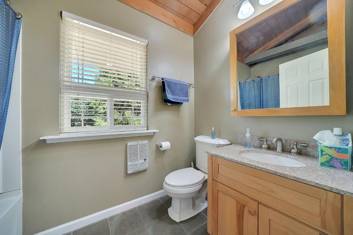 Detail Gallery Image 23 of 53 For 23125 Hidden Lane, Pioneer,  CA 95666 - 3 Beds | 2/1 Baths