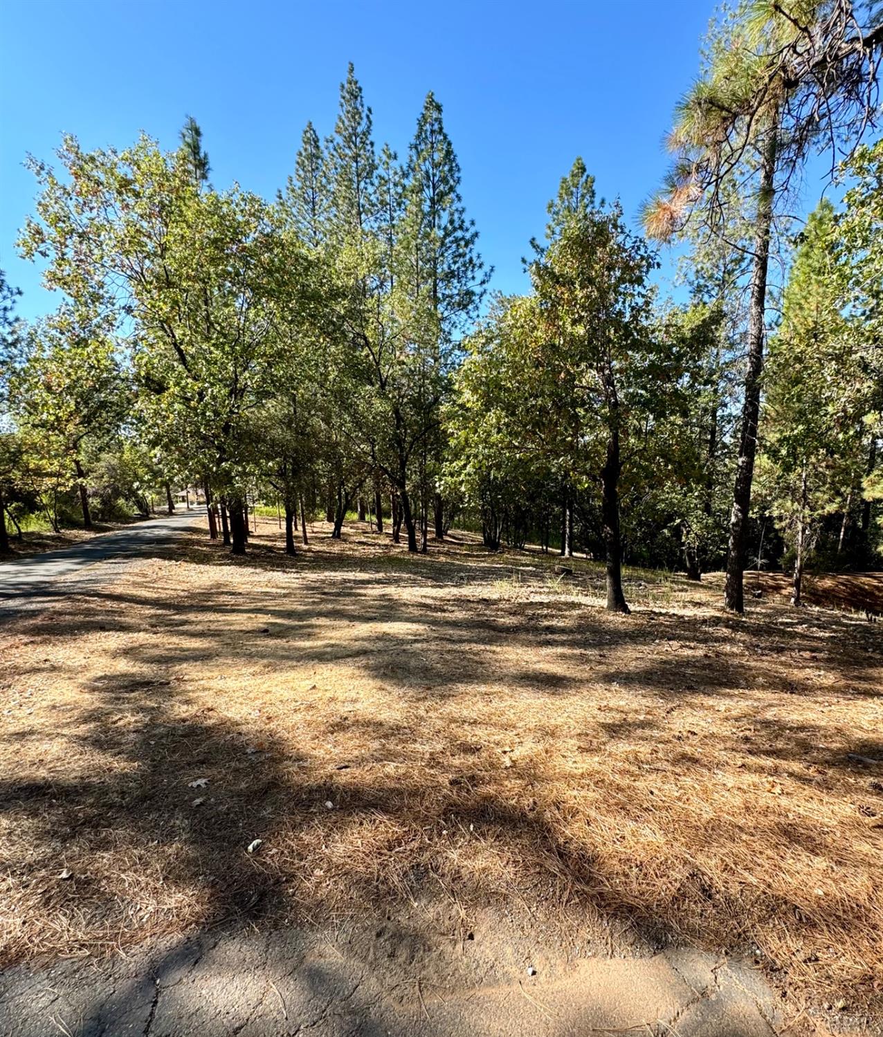 Detail Gallery Image 77 of 78 For 430 Hillside Dr, Applegate,  CA 95703 - 3 Beds | 2 Baths