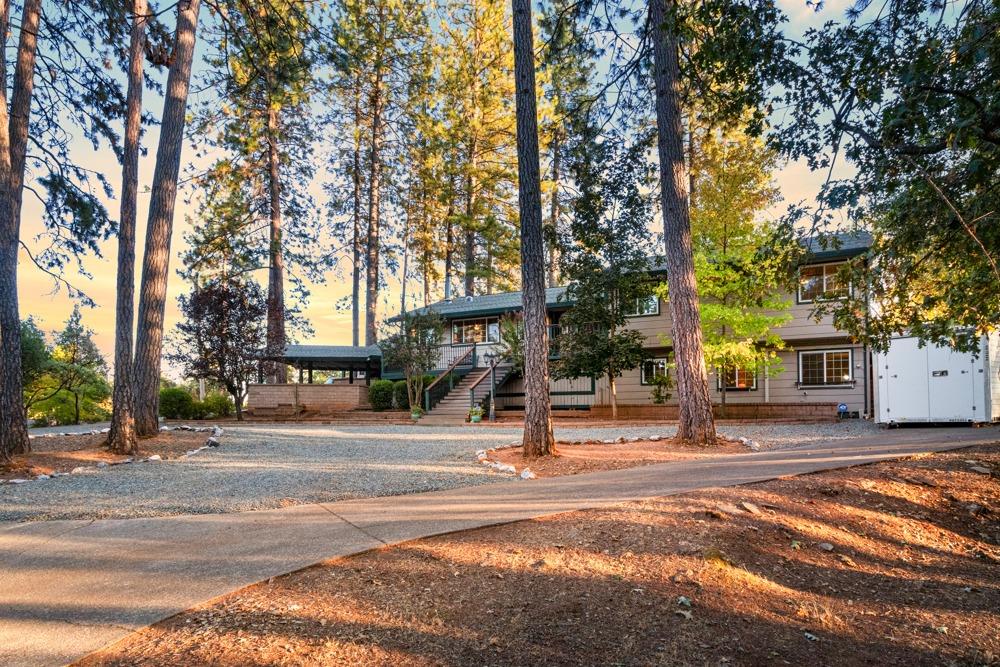 Detail Gallery Image 5 of 88 For 1662 Stonecrest Rd, Placerville,  CA 95667 - 4 Beds | 3/1 Baths