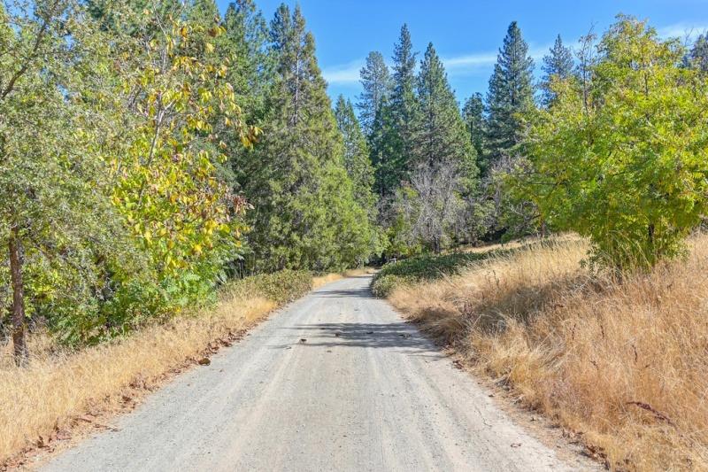 Detail Gallery Image 3 of 83 For 16030 Schaefer Ranch Rd, Pioneer,  CA 95666 - 4 Beds | 3 Baths