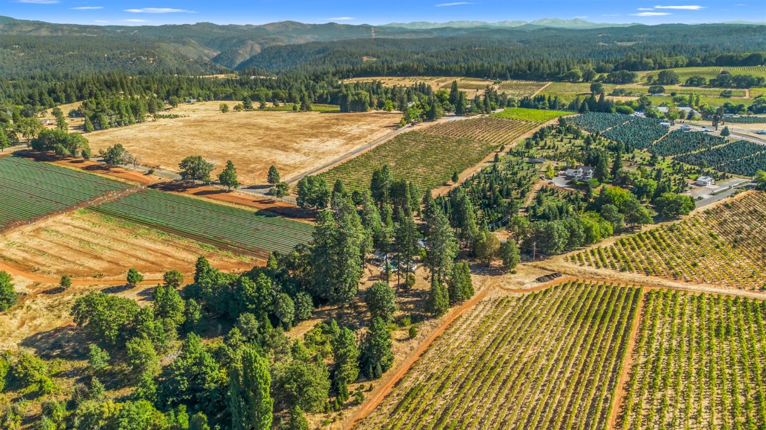 Fruitridge Road, Camino, California image 1