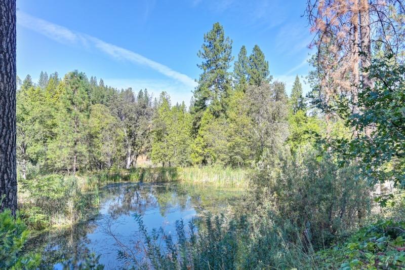 Detail Gallery Image 77 of 83 For 16030 Schaefer Ranch Rd, Pioneer,  CA 95666 - 4 Beds | 3 Baths