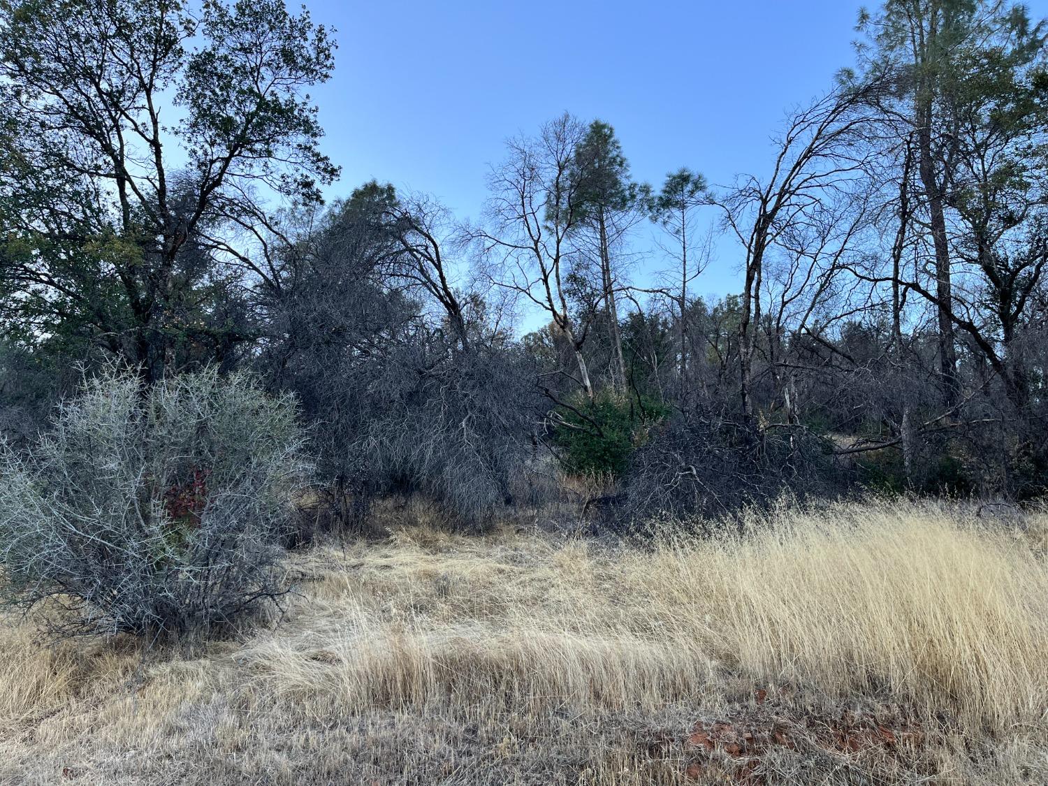 Lot 10 Skyview Court, Browns Valley, California image 1