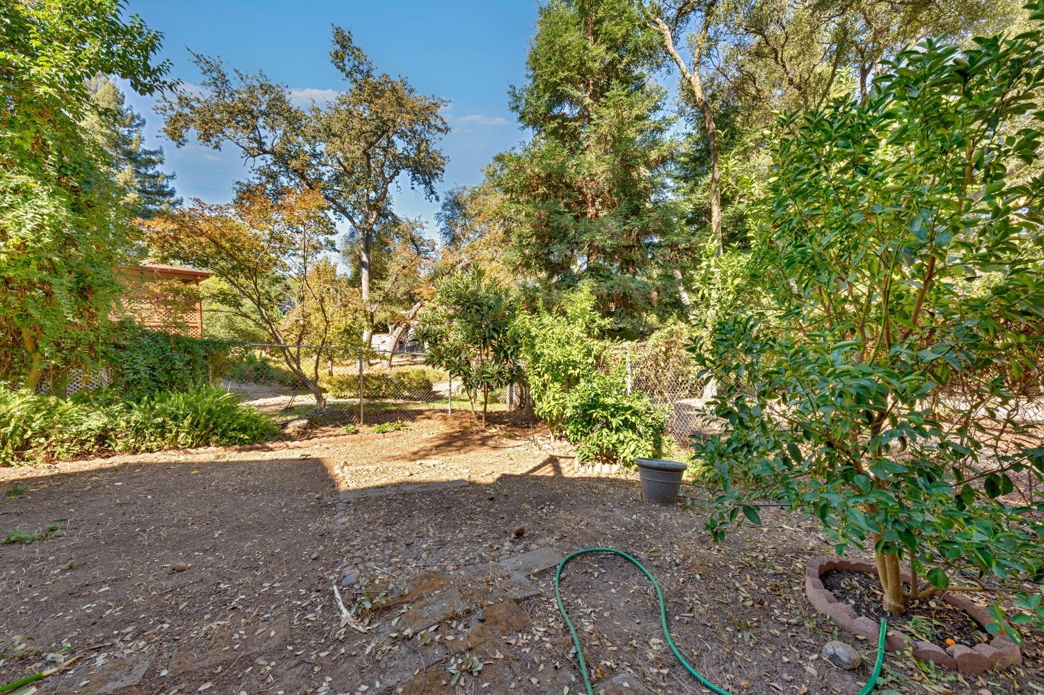 Winding Oak Drive, Fair Oaks, California image 37