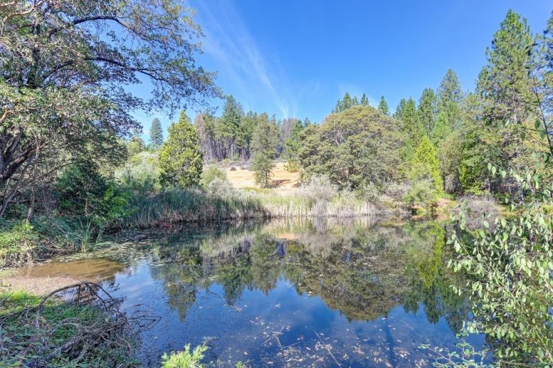 Detail Gallery Image 78 of 83 For 16030 Schaefer Ranch Rd, Pioneer,  CA 95666 - 4 Beds | 3 Baths