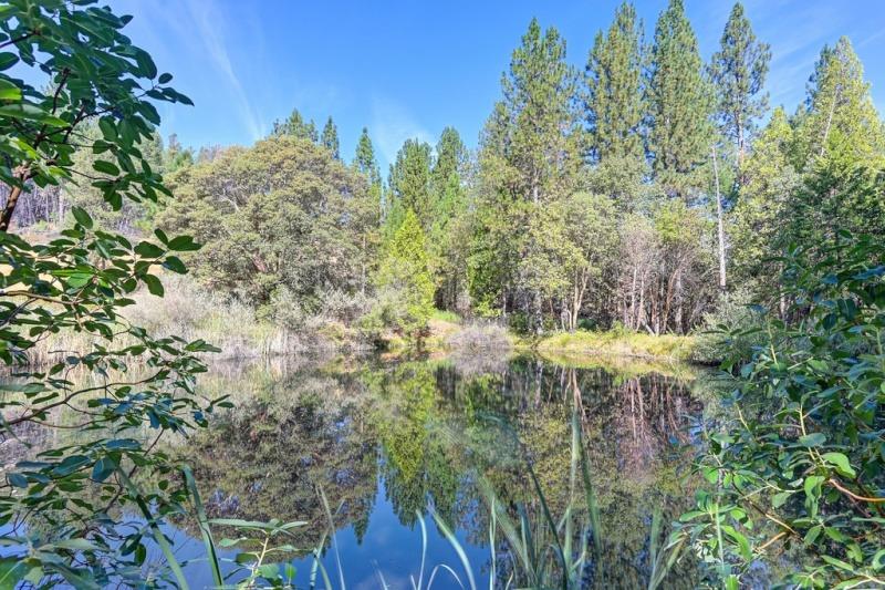 Detail Gallery Image 79 of 83 For 16030 Schaefer Ranch Rd, Pioneer,  CA 95666 - 4 Beds | 3 Baths