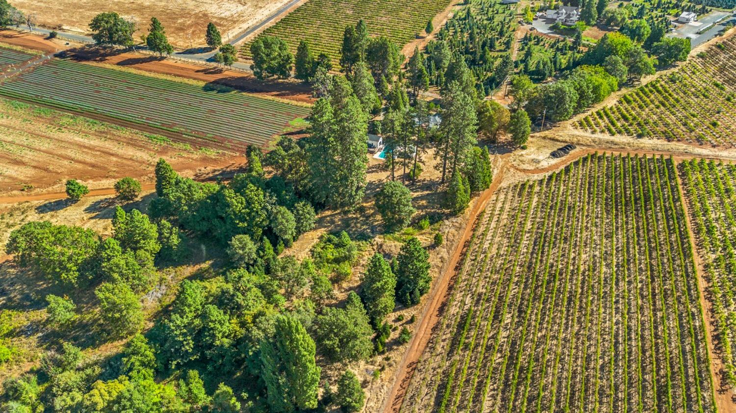 Fruitridge Road, Camino, California image 5