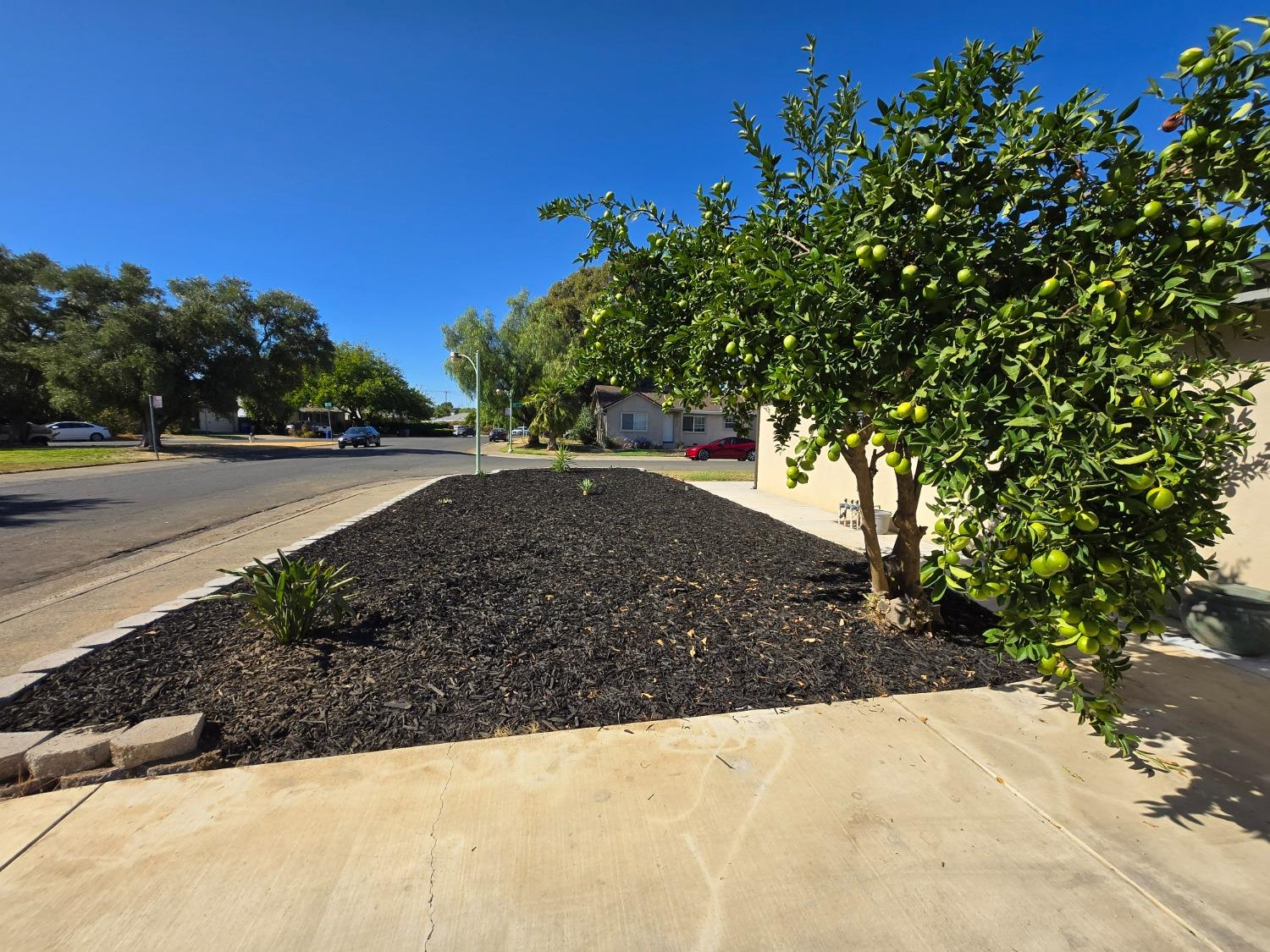 Detail Gallery Image 6 of 22 For 2201 19th Ave, Sacramento,  CA 95822 - 3 Beds | 2 Baths