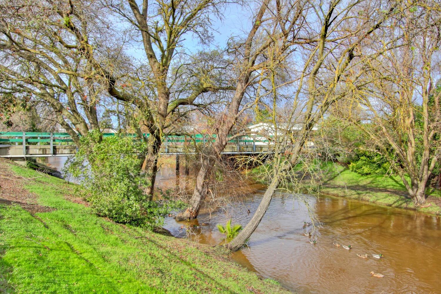 Detail Gallery Image 69 of 74 For 161 Skybrook Ln, Sacramento,  CA 95828 - 3 Beds | 2 Baths