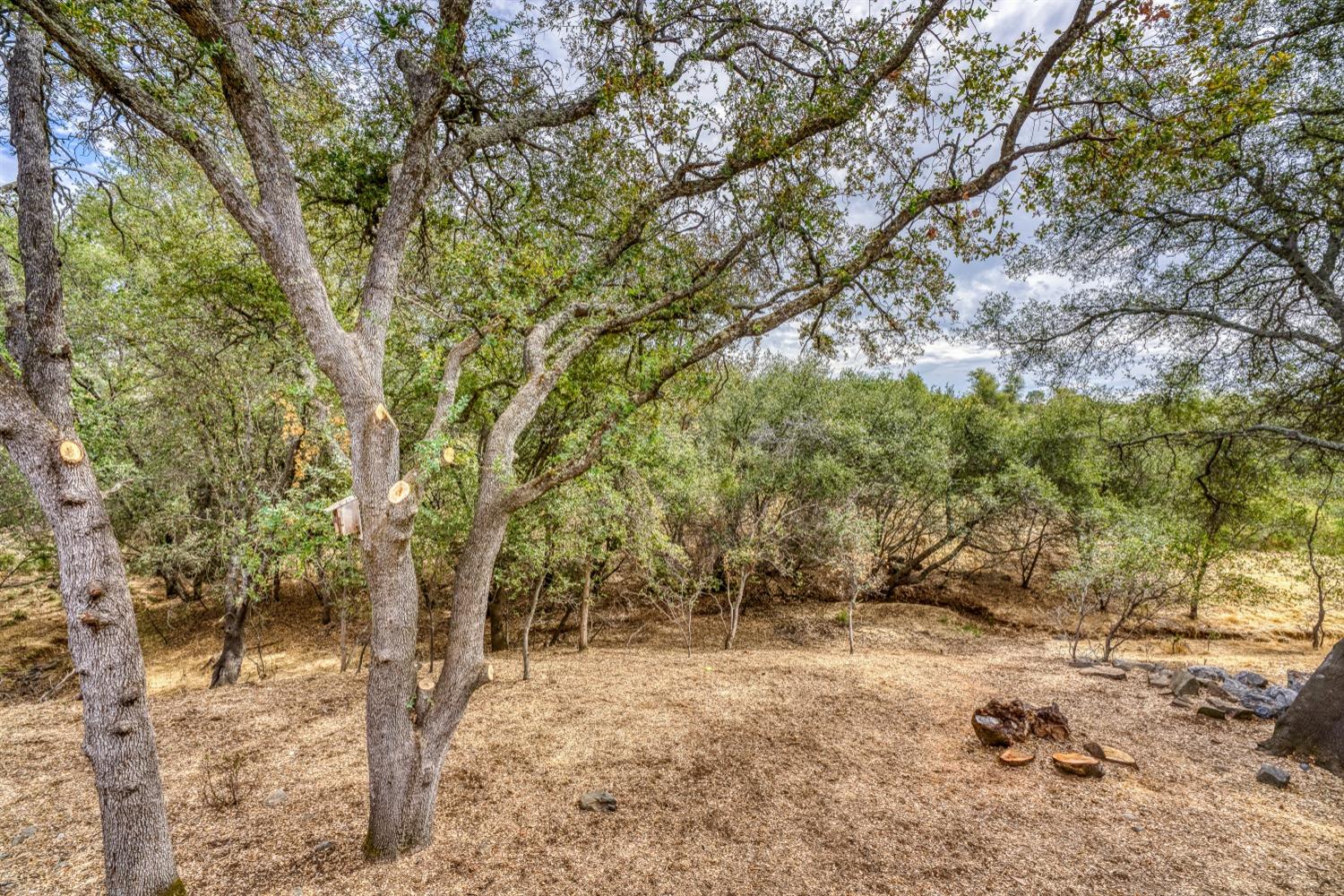 Detail Gallery Image 33 of 42 For 7105 Cinnamon Teal Way, El Dorado Hills,  CA 95762 - 4 Beds | 2 Baths