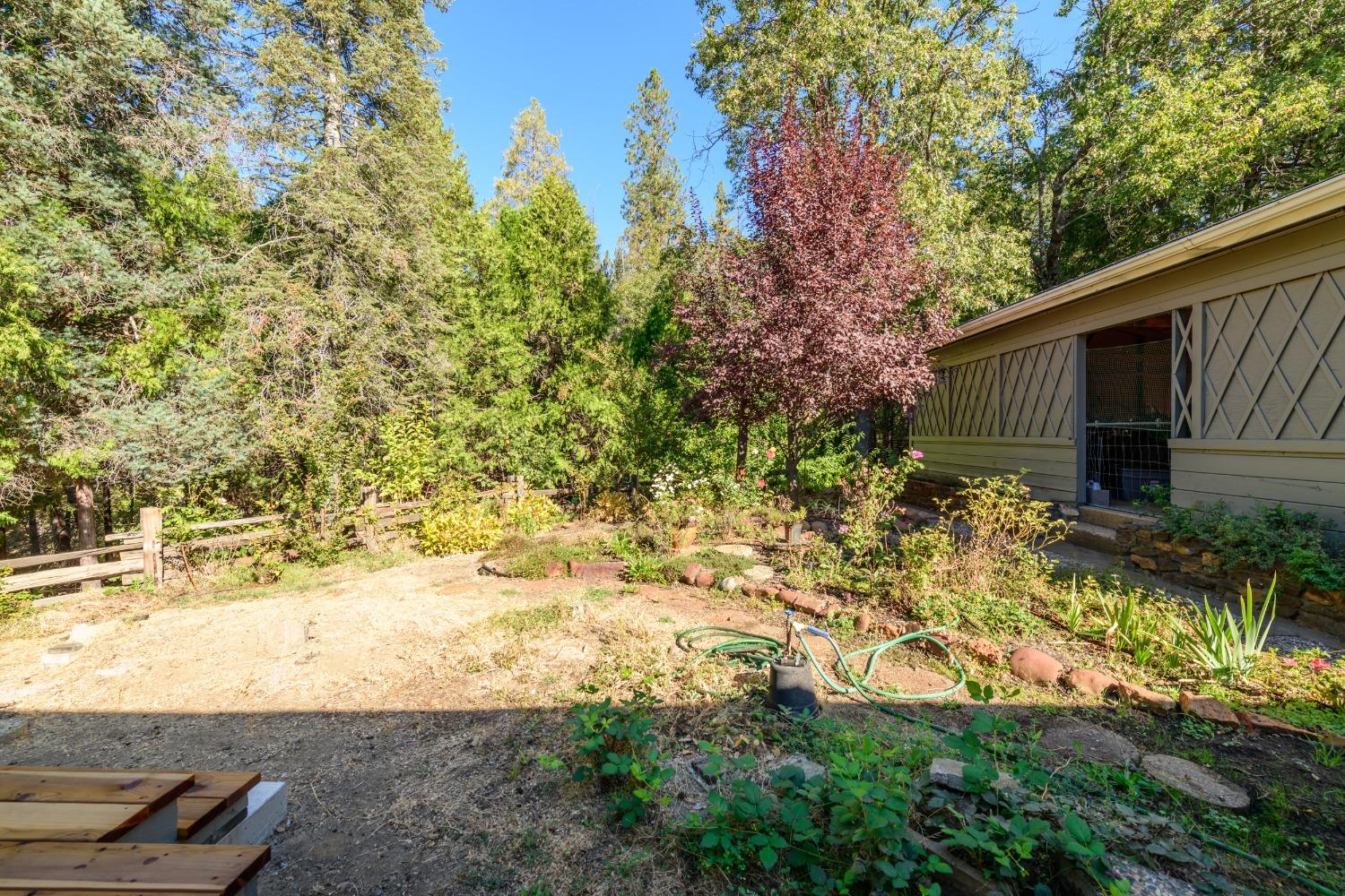 Detail Gallery Image 31 of 58 For 1802 Twitchell Rd, Placerville,  CA 95667 - 3 Beds | 2 Baths