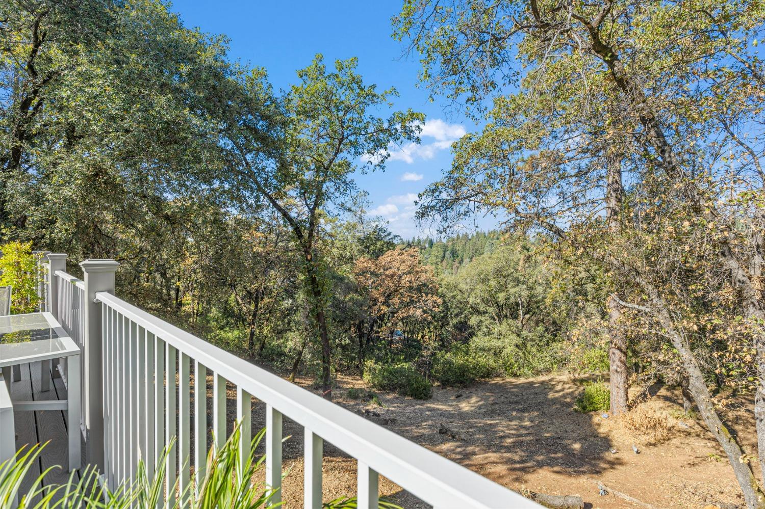 Detail Gallery Image 42 of 54 For 385 Julie Way, Applegate,  CA 95703 - 2 Beds | 2 Baths