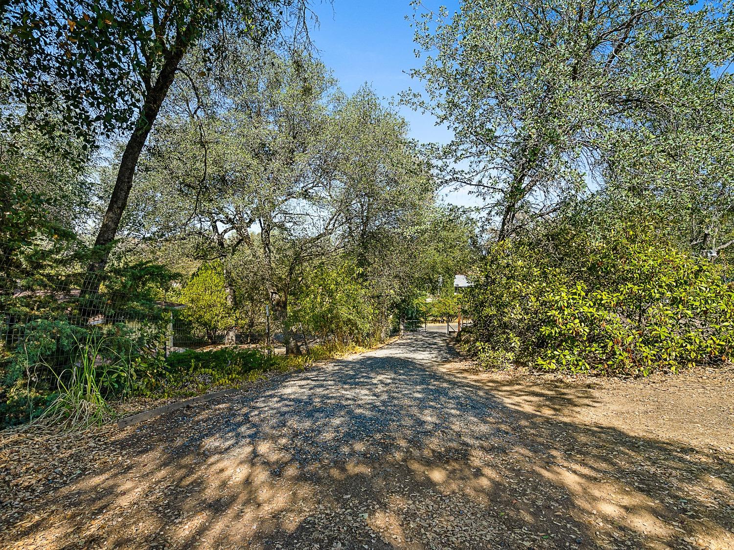 Juniper Lane, Placerville, California image 9