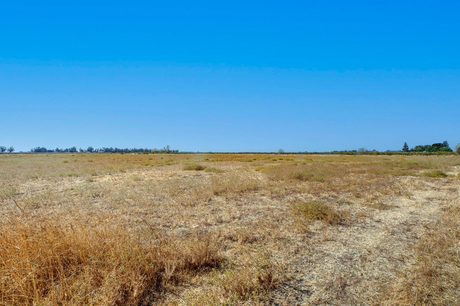 West Lane, Herald, California image 10