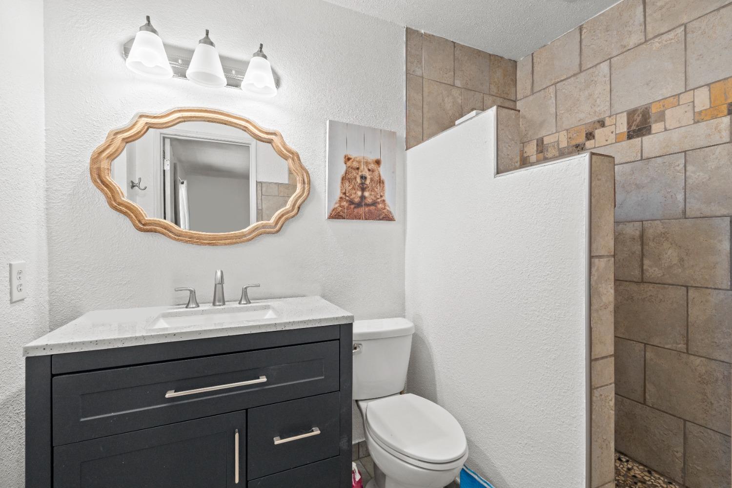 Detail Gallery Image 16 of 28 For 750 Lorna Ct, Oakdale,  CA 95361 - 3 Beds | 2 Baths