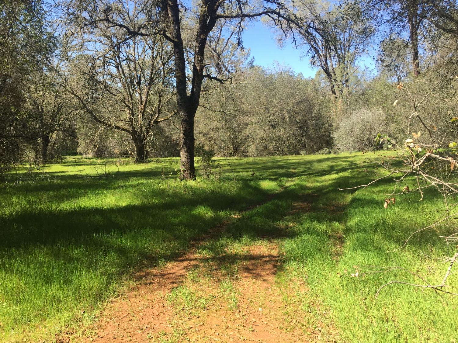 Diablo Circle, Browns Valley, California image 1