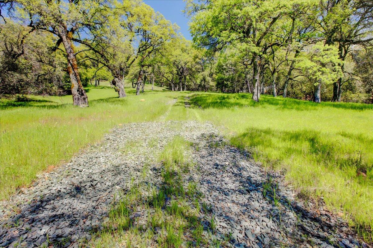 Detail Gallery Image 6 of 50 For 12584 Kodiak Ln, Grass Valley,  CA 95949 - – Beds | – Baths